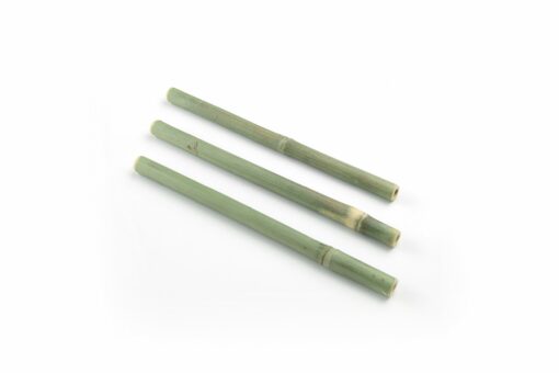 Paille bambou Ø 10 mm 18cm