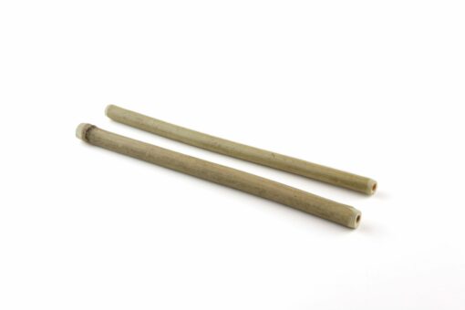 Paille bambou Ø 10 mm 21cm
