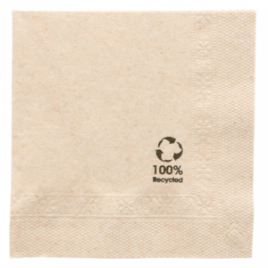 Napkin recycled unbleached 20 20cm 2 layers